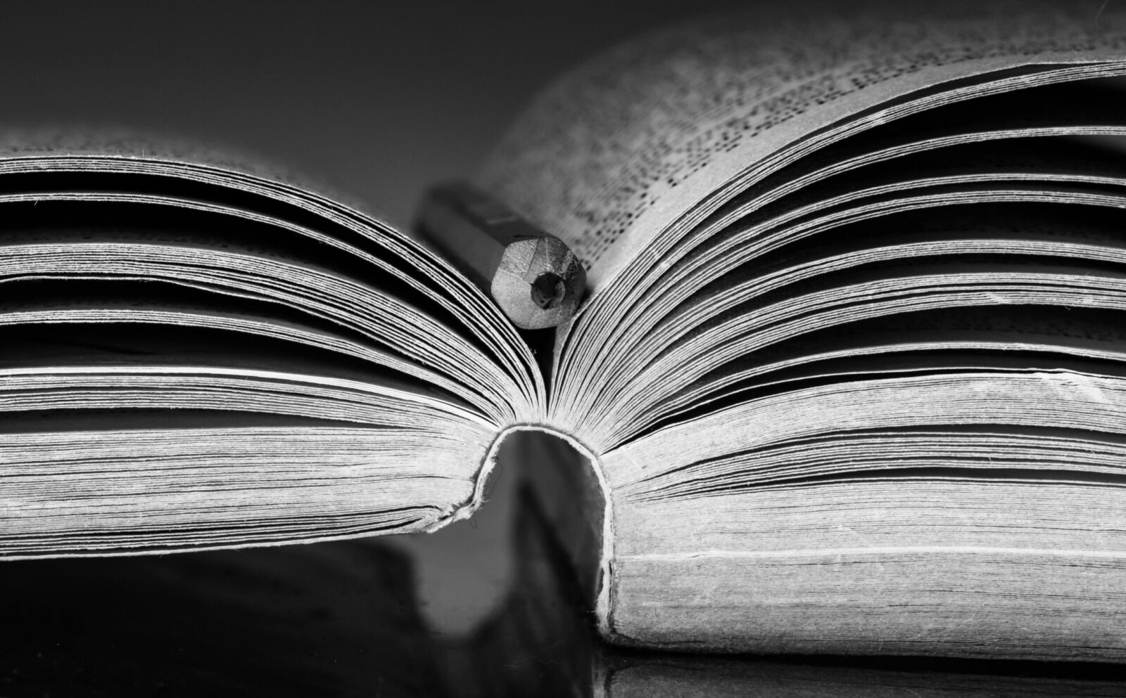 Close-up view of an open book with pages fanned out against a soft blurred background.